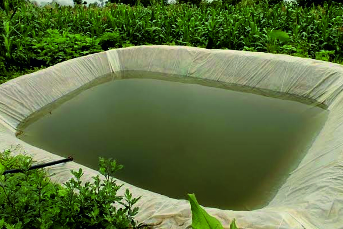 Rainwater